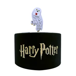 Plantilla para Tarta Harry Potter - PME