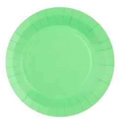 Platos de Papel Verde Menta 22,5 cm 10 ud