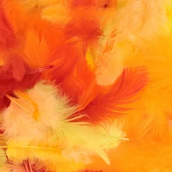 Plumas de Colores Surtidos 10 gr