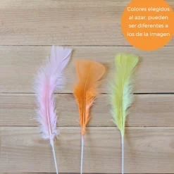 Plumas Decorativas 3 ud