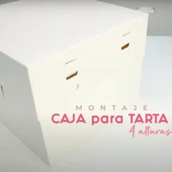 Set 10 Cajas para Tarta 4 Alturas Ajustables - 25 cm