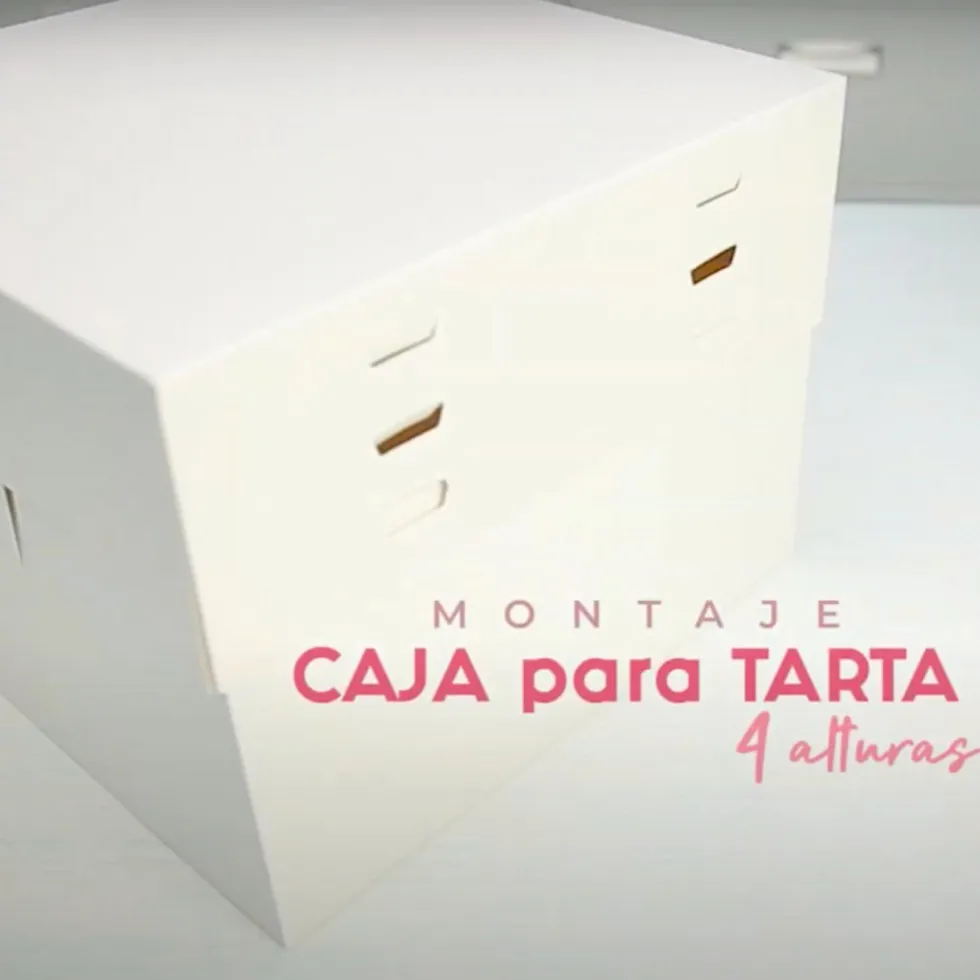 Set 10 Cajas para Tarta 4 Alturas Ajustables - 30 cm