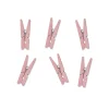Set de 20 Mini Pinzas Rosas