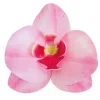 Set de 10 Orquídeas de Oblea Rosas 8 cm