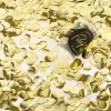 Set de 12 Push Pop Confetti Oro